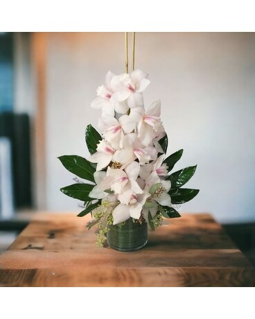 Graceful Orchid by Parisian Flower Arrangement