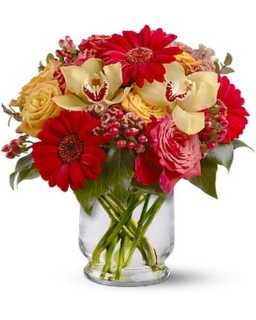 Orchid Orchard Flower Arrangement
