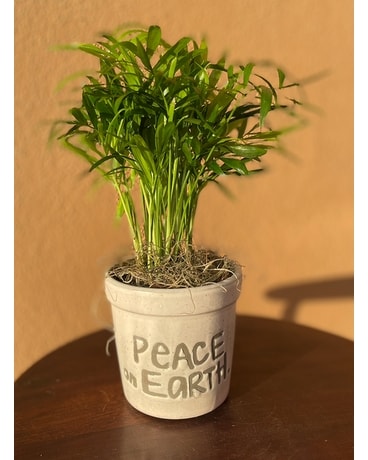 Peaceful Meadow Plant