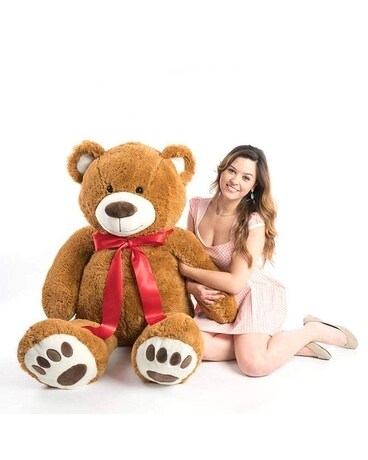 Giant Teddy 60