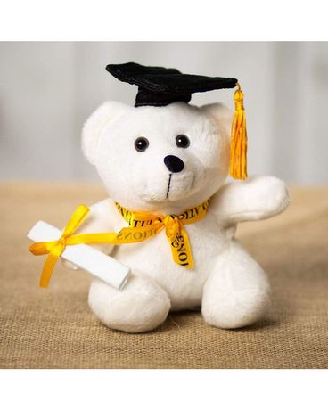 Graduation Teddy 6