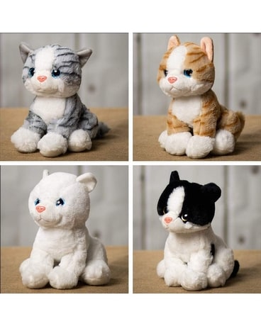 Laying Cat 8.5