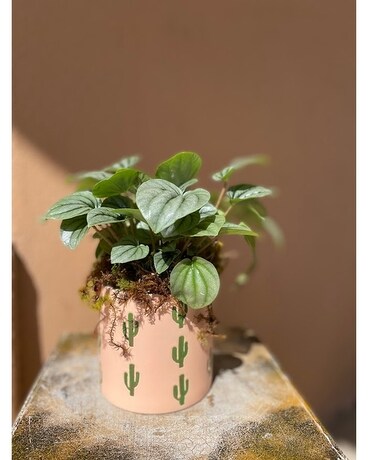 Grown In Love Plant