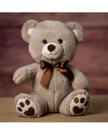 Toffee Velvety Paw Print Bear 11