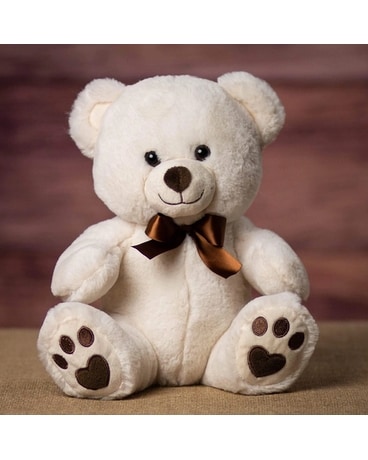 Cream Velvety Paw Print Bear 11