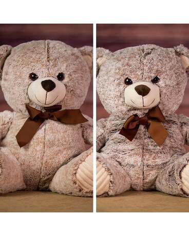 Cuddle Bug Grizzly 10