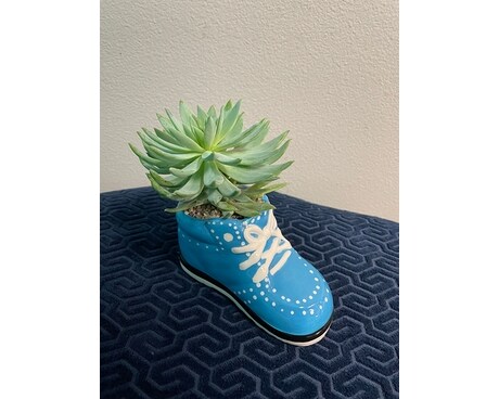 Succulent in Shoe - Boy Flower Arrangement