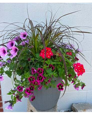 Porch Ready Patio Pots