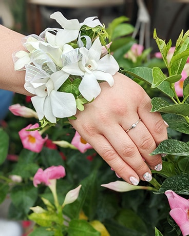 White Orchid Prom Corsage Corsage