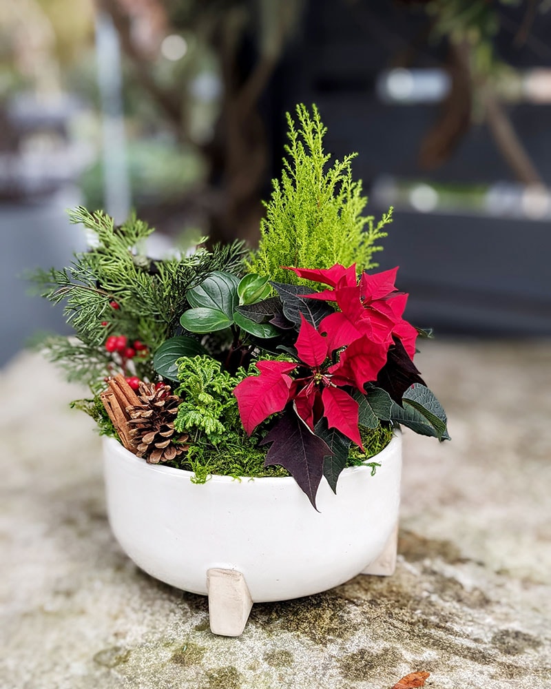 Darien Florist Flower Delivery by Nielsen's Florist And Garden Shop