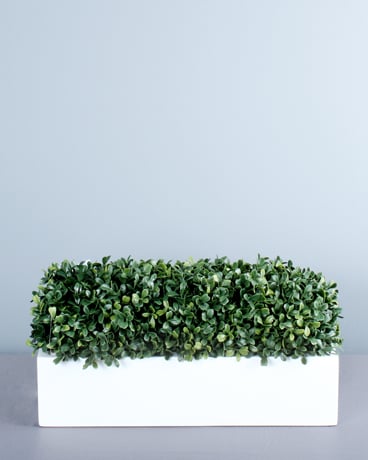 Boxwood Flower Arrangement