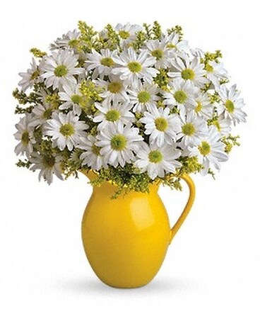 Sunny Day Daisies Flower Arrangement