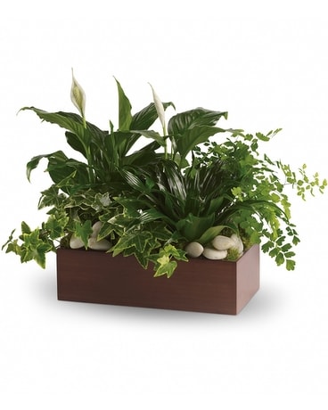 Standard size, 12 inches height and 9 inches wide.