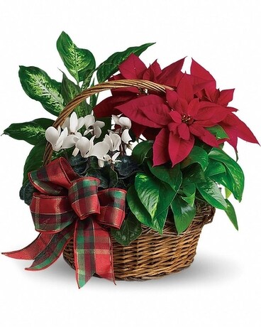 Holiday Homecoming Basket Flower Arrangement