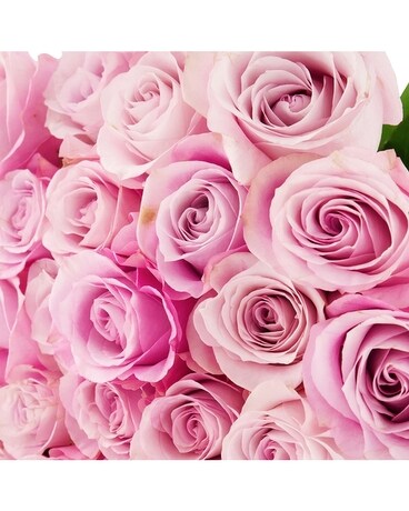 Roses For a Year Package 1