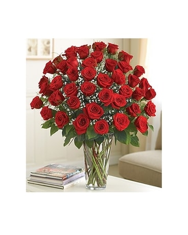 48 RED ROSES IN VASE Flower Arrangement