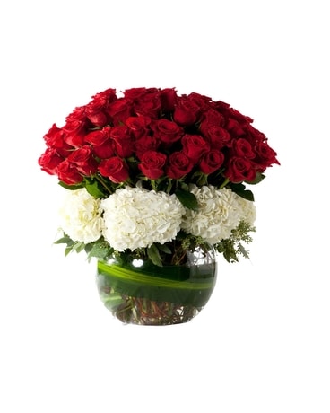 Hydrangea and 48 Rose Arrangement Flower Arrangement