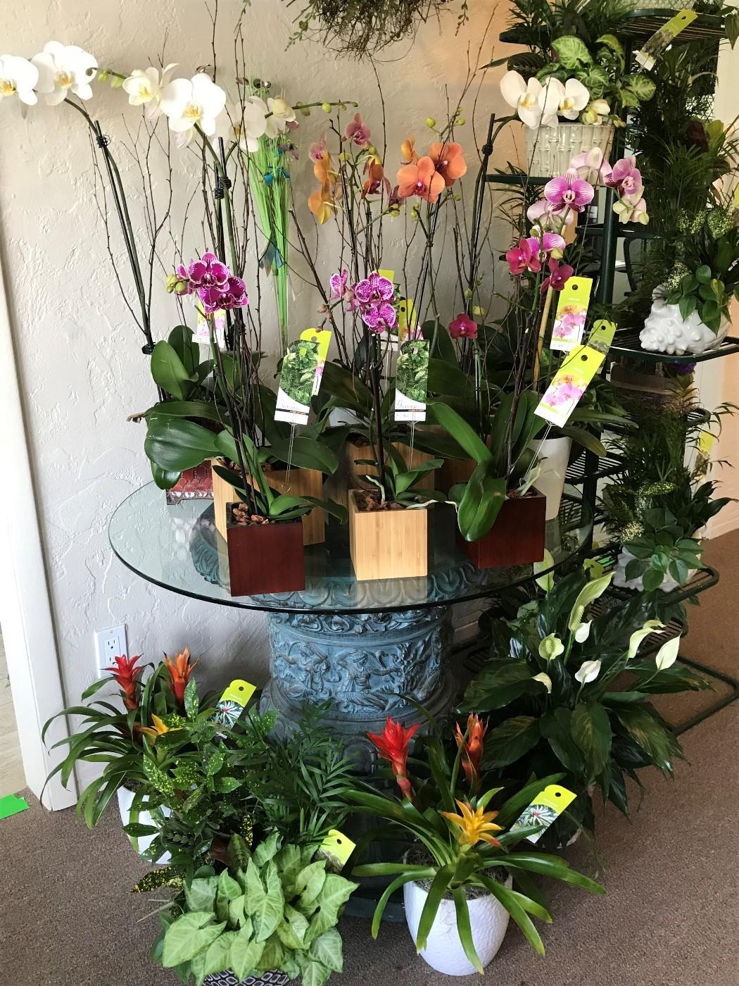 Bradenton Florist Flower Delivery by Josey's Poseys Florist