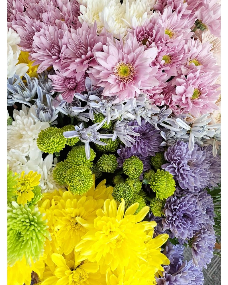 置物 SEPTEMBER MIXED FLOWERS Designer's Choice Seasonal Mixed Vase Arrangement in Sandstone MN