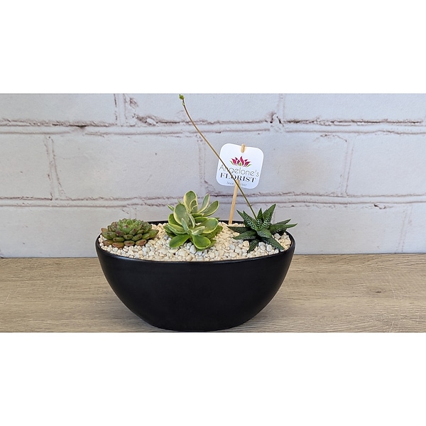 big square plant pots Landmark - X-4PXD 4" Square Extra Deep With Root Channels Pot