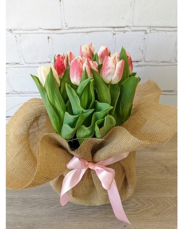 Potted Tulips Flowers