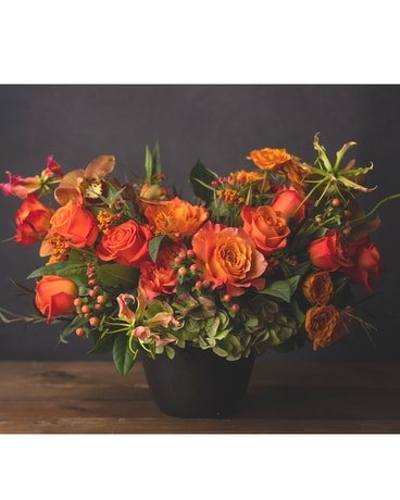 Amber Ambiance Deluxe