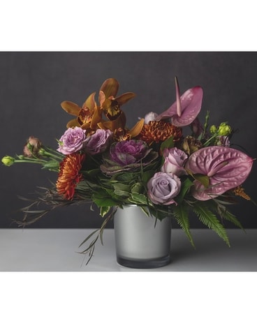 Anthurium Violet