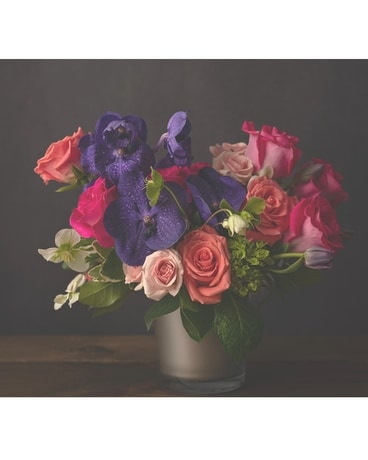 Purple Iris Deluxe