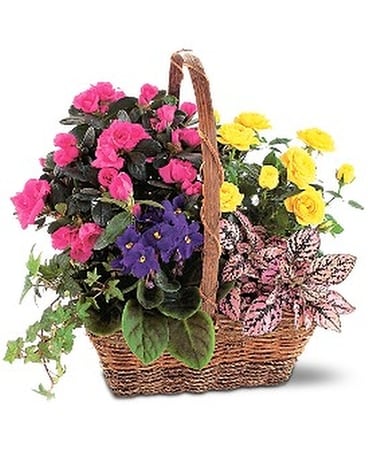 Blooming Garden Basket Flower Arrangement