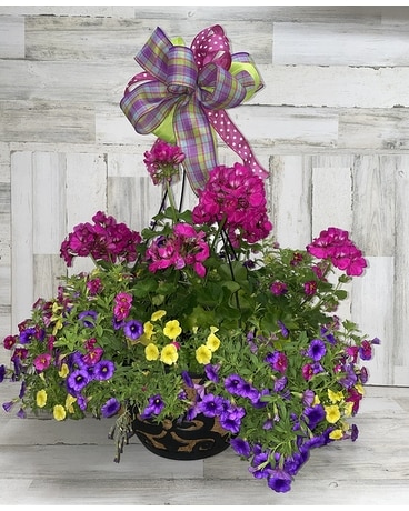 Coco Hanging Basket Flower Arrangement