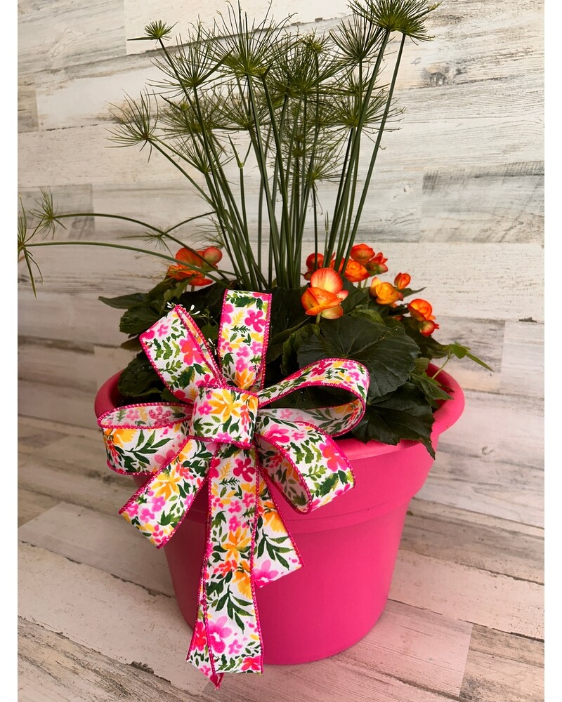 Plants Delivery Donegal PA - Linda Brown's Floral