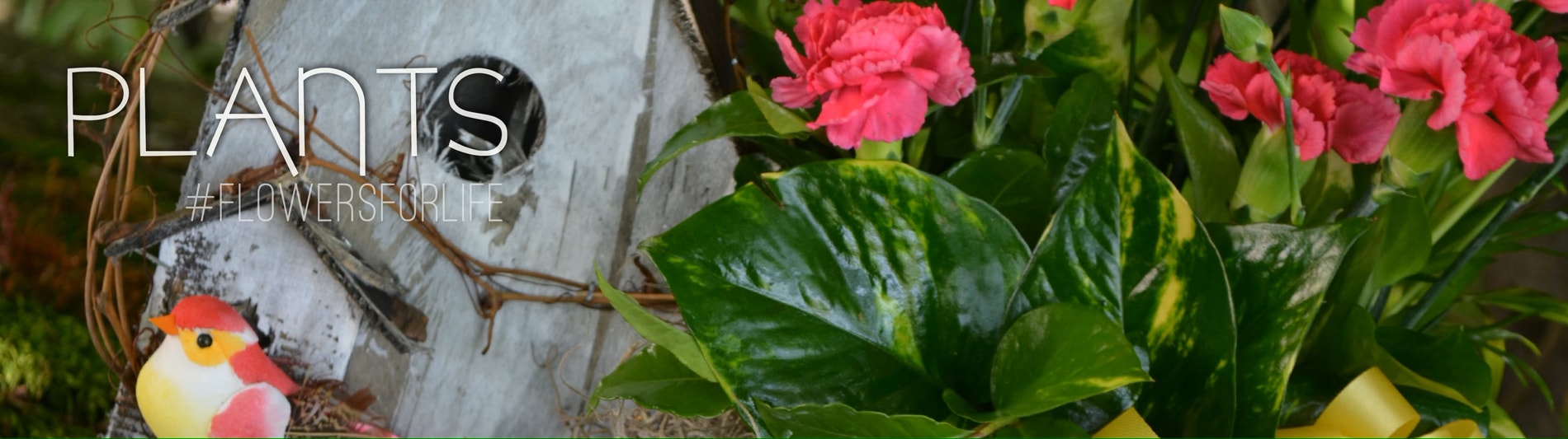 Flower Delivery to Indianapolis by Gillespie Florists & Flower Delivery