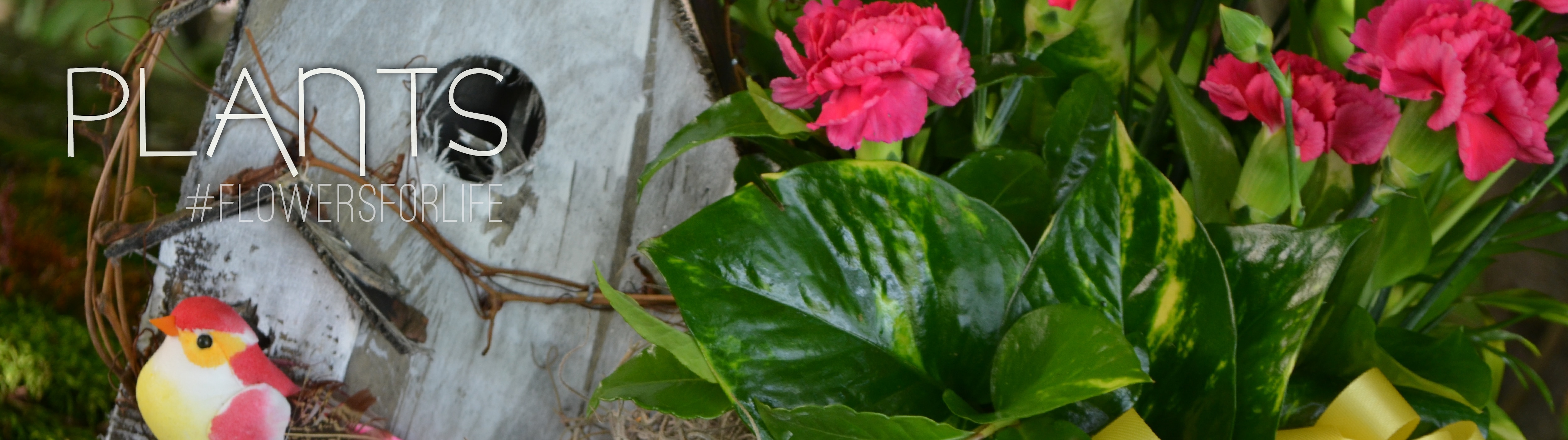 Flower Delivery to Indianapolis by Gillespie Florists & Flower Delivery