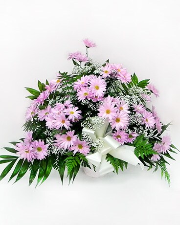 Lavender Meadow Tribute