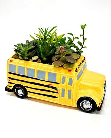School Bus Succulents Dish Garden Plant