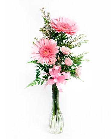 Bashful Blooms Flower Arrangement