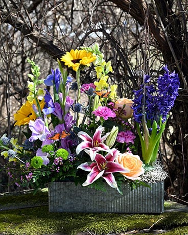 Boite de Jardin Flower Arrangement