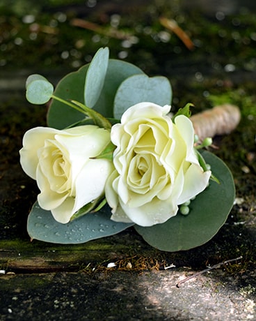 corsage de rose branchue blanche