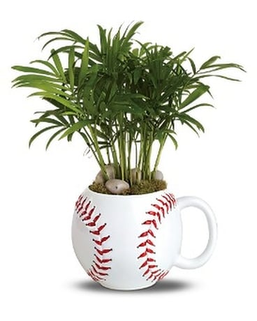Teleflora's Base Hit Planter Flower Arrangement