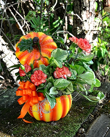 Vibrant Pumpkin Planter Plant