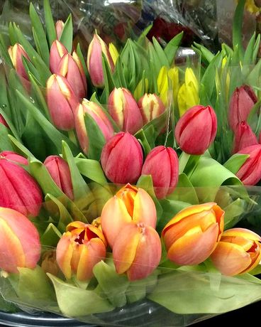 Tulip Bunch Flower Arrangement
