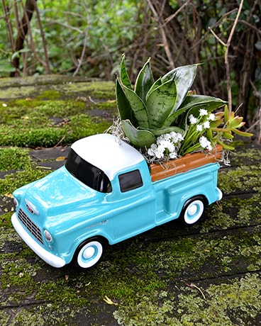 Farmers Market Plant