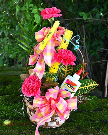 Teacher's Plant Plant