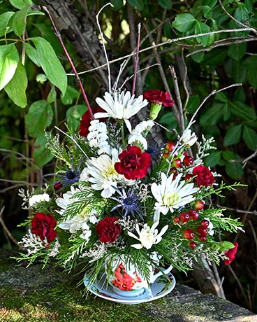 Teacup Cardinal Flower Arrangement