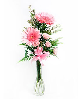 Bashful Blooms Flower Arrangement