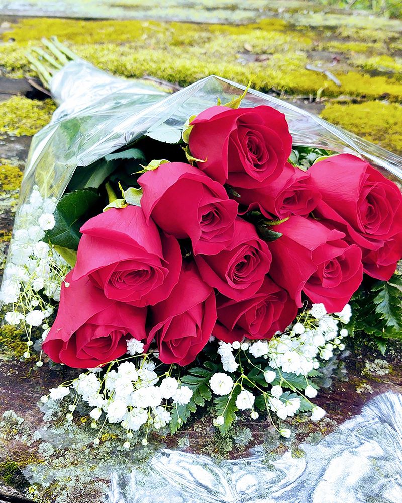 sku7354237.jpg
