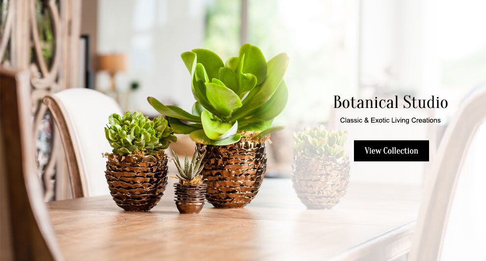 Beautiful Seasonal Flowers Banner