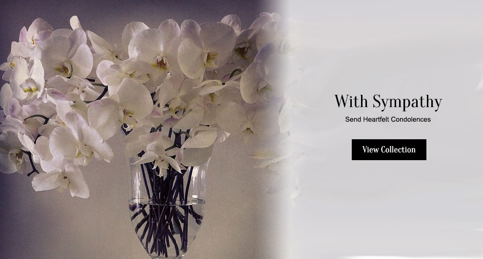 Beautiful Seasonal Flowers Banner