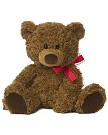 Brown Plush Bear