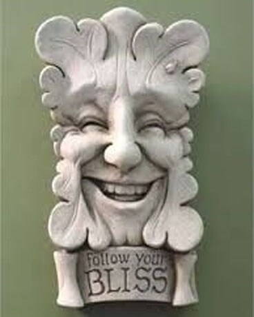 Follow Your Bliss